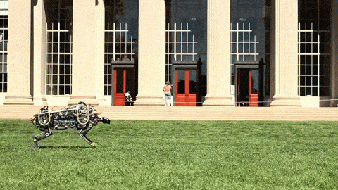 MIT Cheetah Animated SM