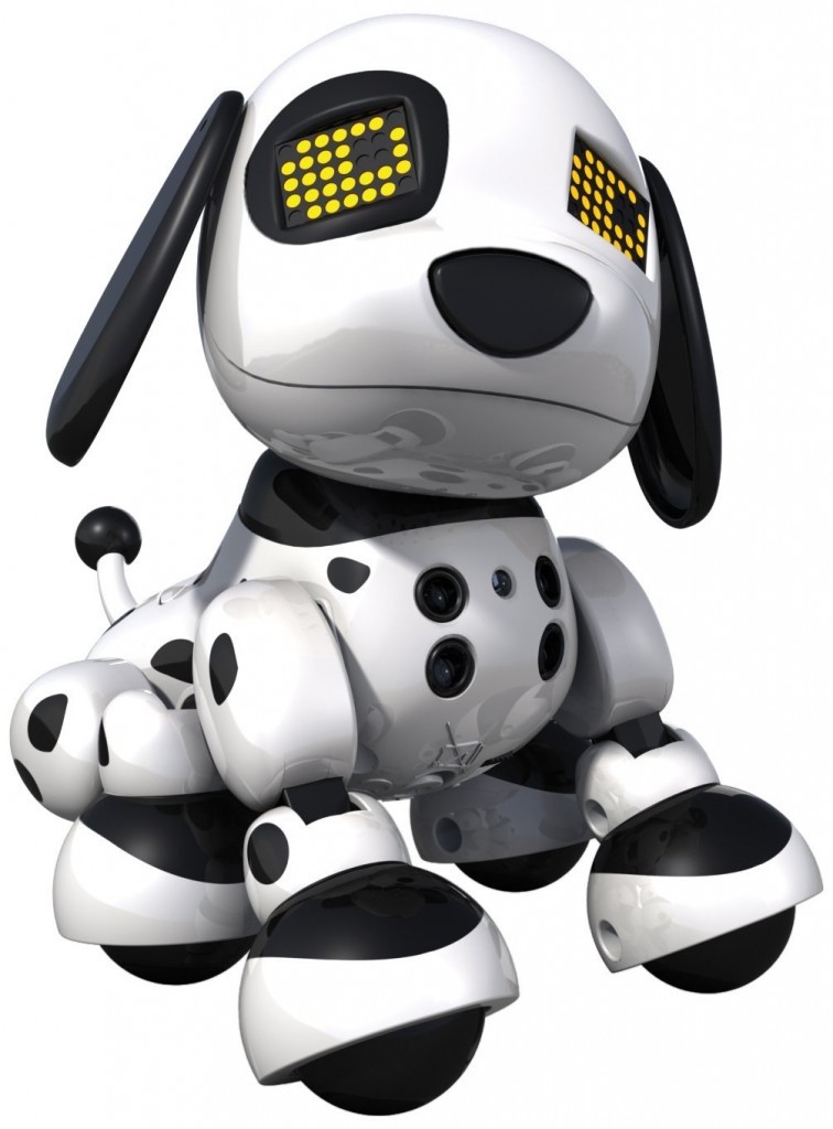 ZoomerAmazon