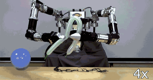 BalloonRobot ANI SM